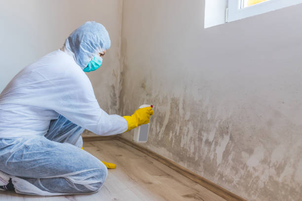 Licensed Commercial Mold Remediation service in West Grove, PA - WQB Mold Removal