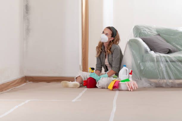 Reliable Commercial Mold Remediation contractor in West Grove, PA by WQB Mold Removal